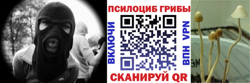 сайты даркнета клад  Трубчевск  Псилоцибиновые грибы GOLDEN TEACHER  KRAKEN онион 