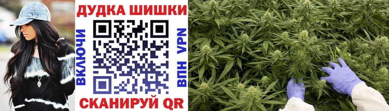где купить наркоту  MEGA как войти  Конопля планчик  Трубчевск 